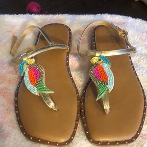 Chico’s sandals